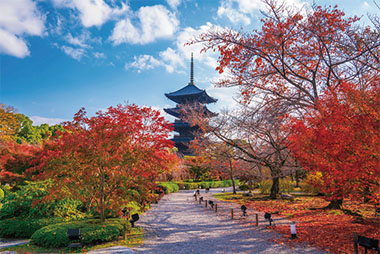 東寺／京都府