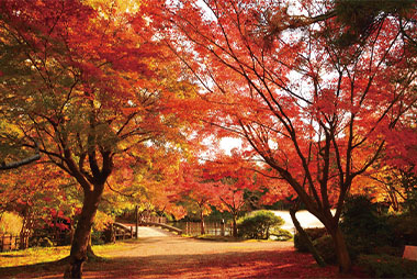 高岡古城公園／富山県