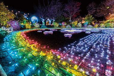 あしかがフラワーパーク／栃木県