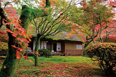 九年庵／佐賀県