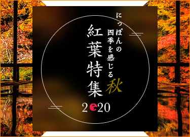 2020 日本の秋 紅葉特集
