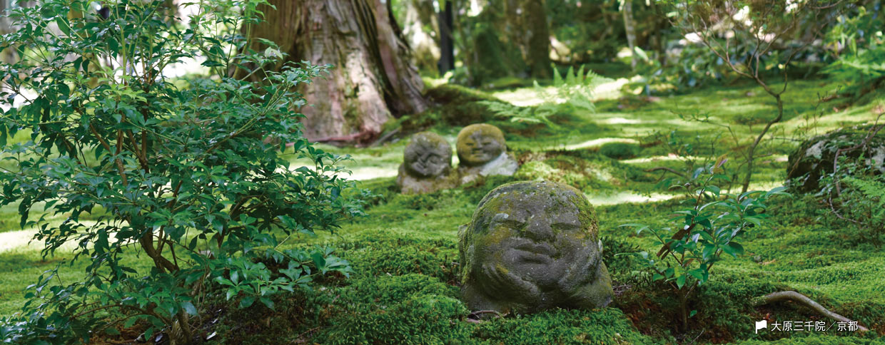 女ひとり、苔むした庭園に癒やされる。 京都大原三千院